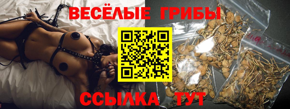 Псилоцибиновые грибы GOLDEN TEACHER  Вход с VPN  Донецк 